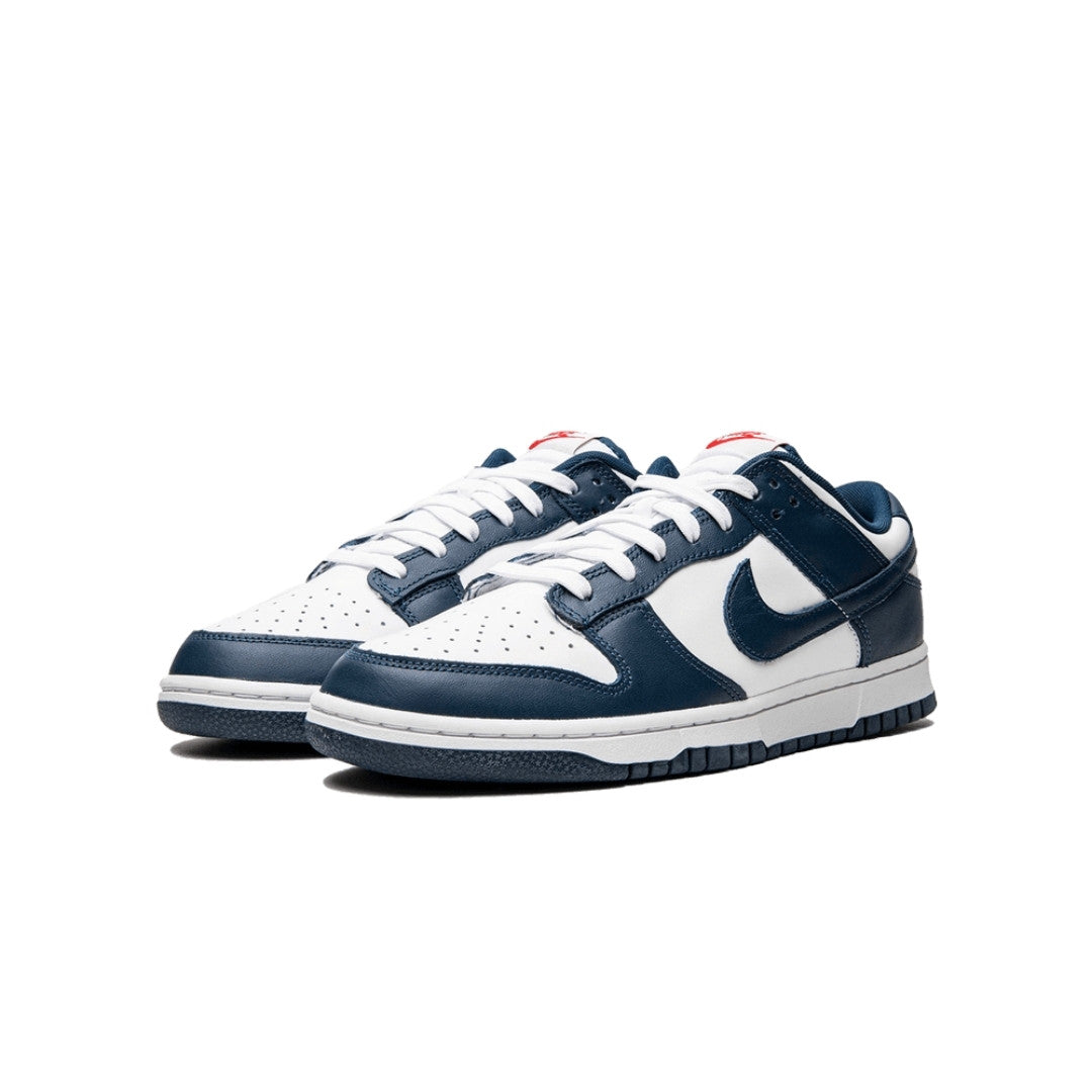 Dunk Low Valerian Blue